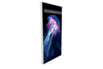 illumigo-83427.png