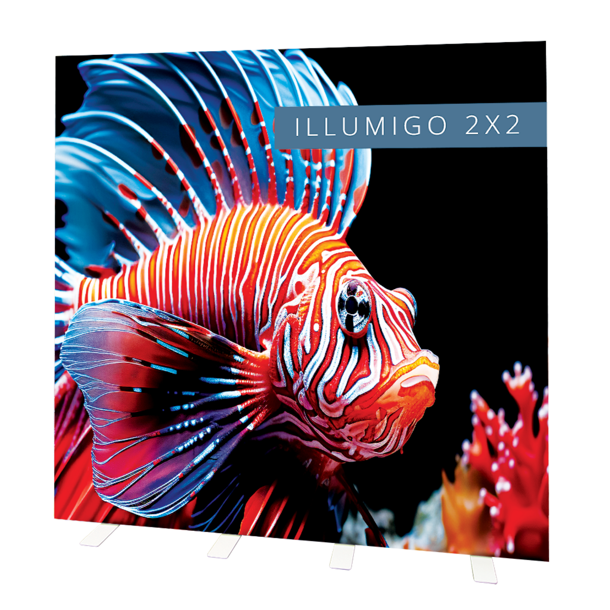 illumigo-2x2-83444.png