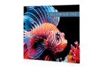 illumigo-2x2-83444.png