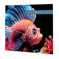 illumigo-2x2-83444.png