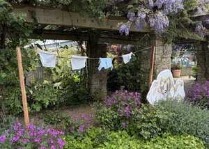 Gardening area with wisteria, colorful flowers, and a Mrs Tiggy-Winkle character display at Groved Nurseries in Dorset