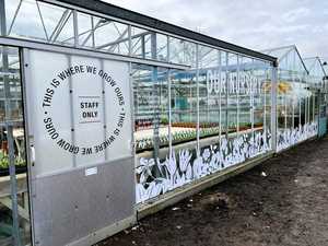 Clouded Door Vinyl & Window Graphics Cut Vinyl Text for Grove Nurseries