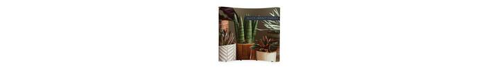 Impact Pop Up Curved Display Back Wall.jpg