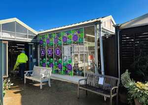 Installing Full-Colour Printed External Window Graphics for Groves Nurseries Installing Full-Colour Printed External Window Graphics for Groves Nurseries