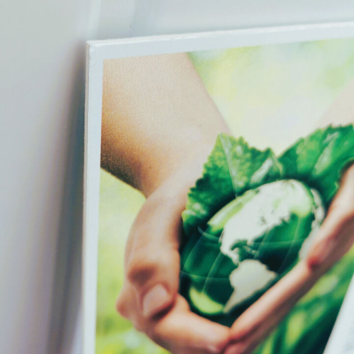 Katz Eco-Freindly Outdoor 2mm Display Board.jpg