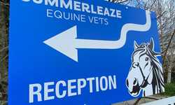 Outdoor Directional and Display Signage for Summerleaze Vets
