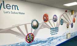 Office Wall Murals & Infographic Displays for Xylem Water