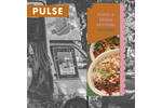 Pulse-web-background-800x800.jpg