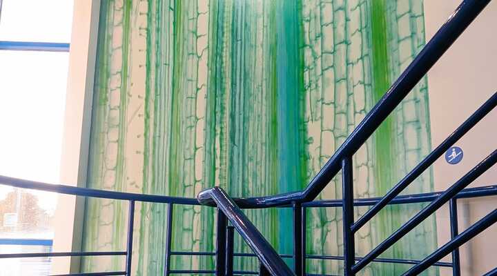 Digitally Printed Wallpaper & Wall Murals