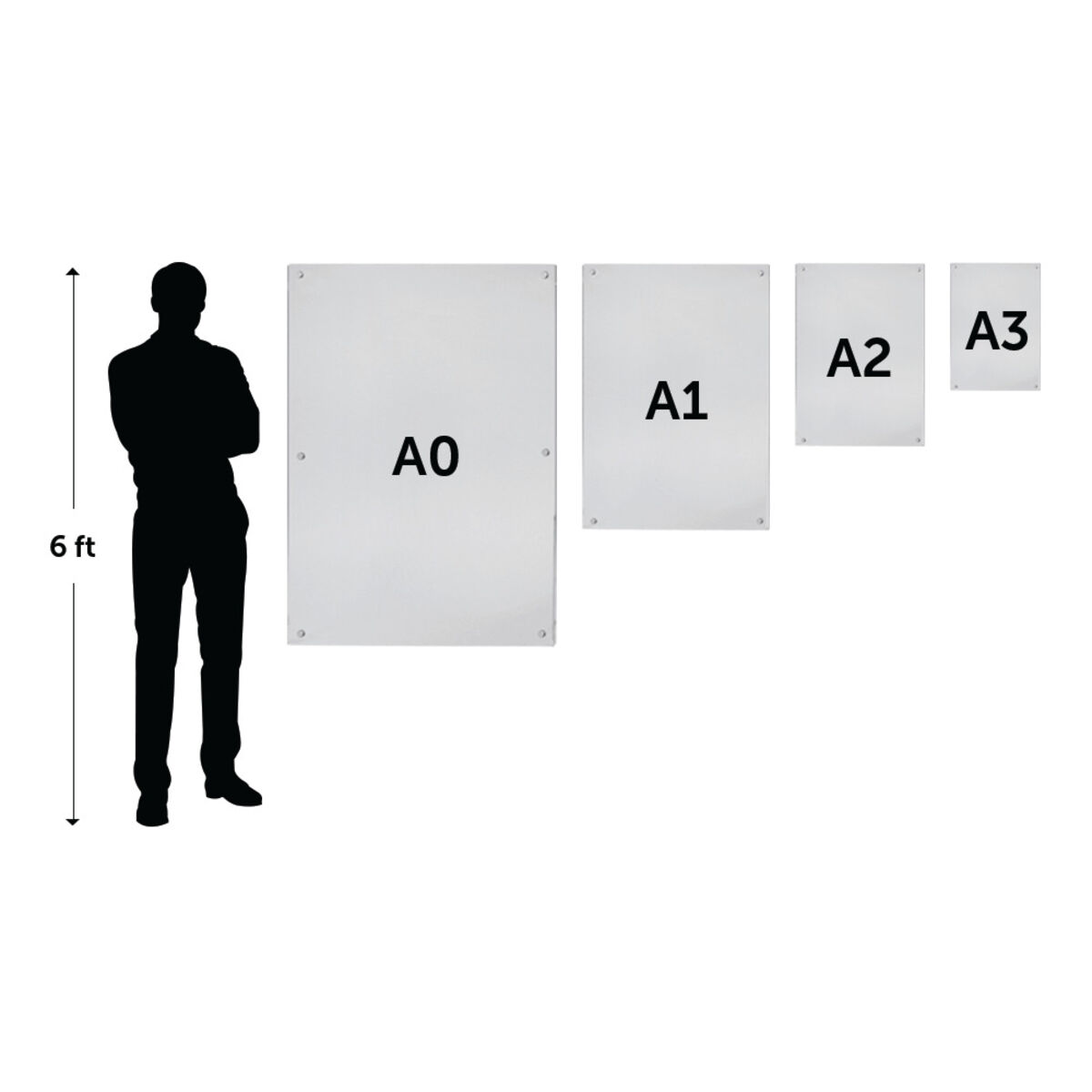 sppsizes.png