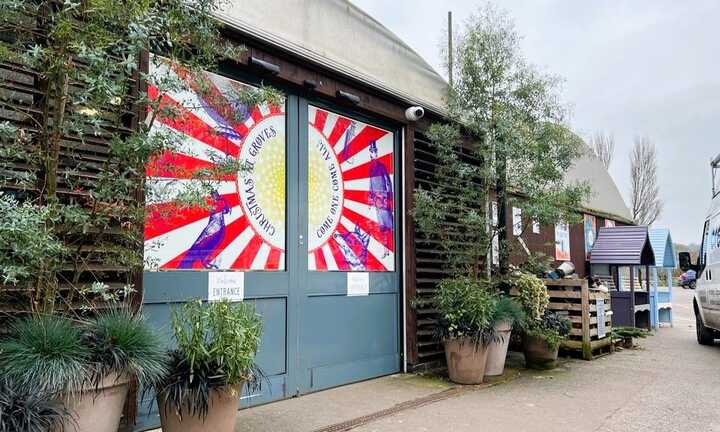 Seasonal Christmas Window Film Display for Groves Nurseries