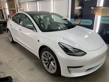 Vinyl Wrap for Tesla Model 3 - BEFORE - Front Side Profile Vinyl Wrap for Tesla Model 3 - BEFORE - Front Side Profile