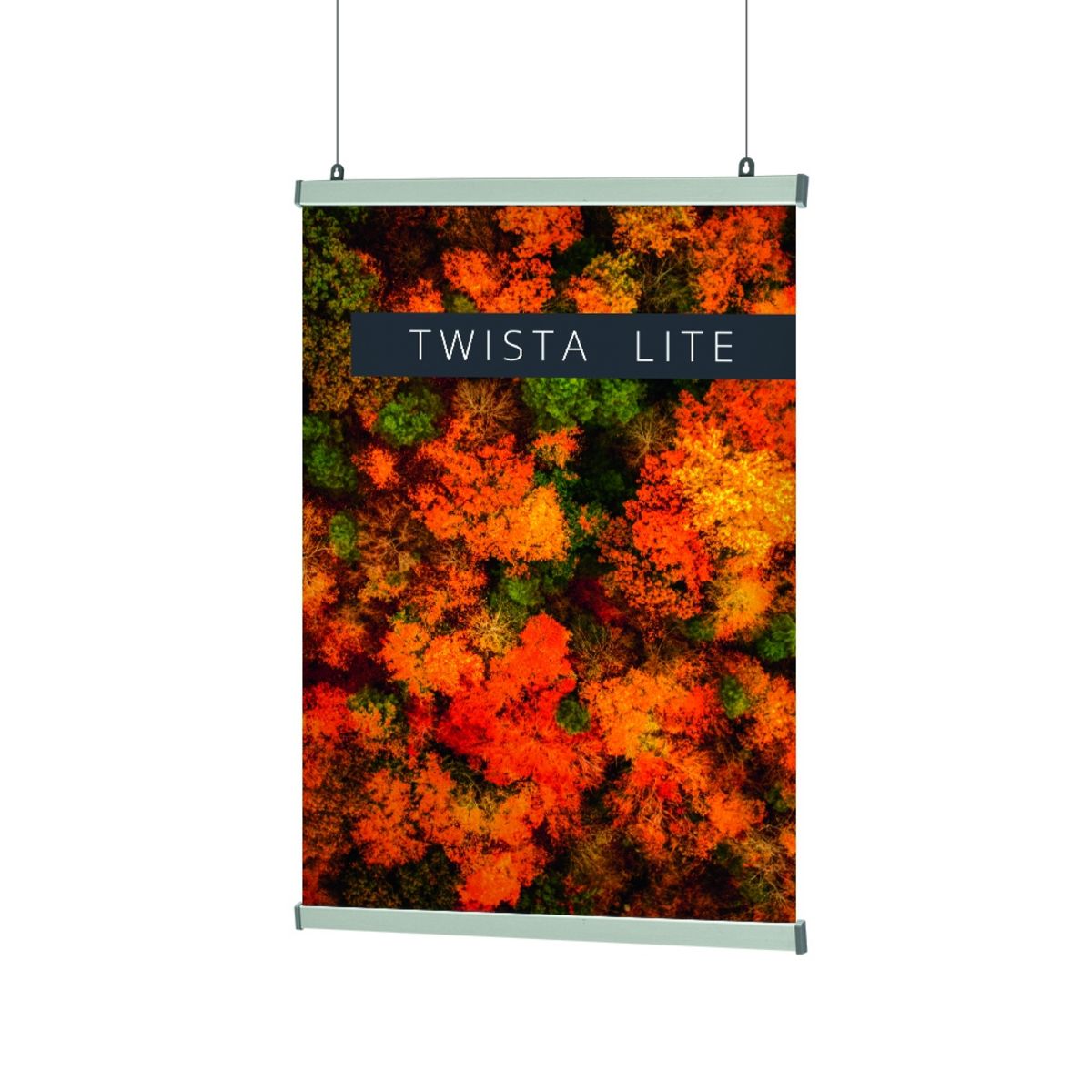 Twista Lite Hanging Poster Rails.jpg