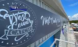 Tray Sign, Window Graphics & Pavement Signs for West Country Catch Tray Sign, Window Graphics & Pavement Signs for West Country Catch