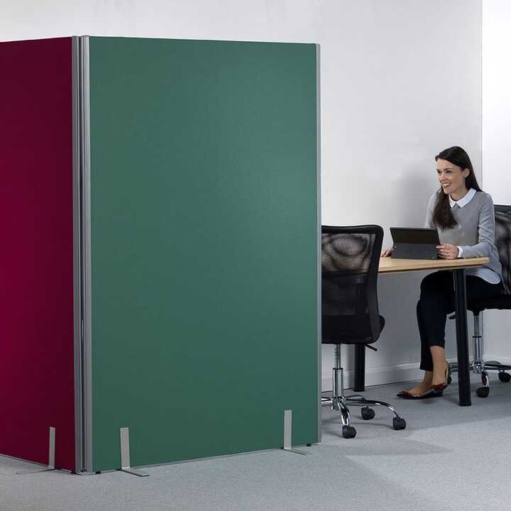 Partition Screens