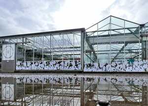 Decorative Window Graphics For Grove Nurseries