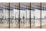 coala-windows-decor-caroussel-pattern.jpg