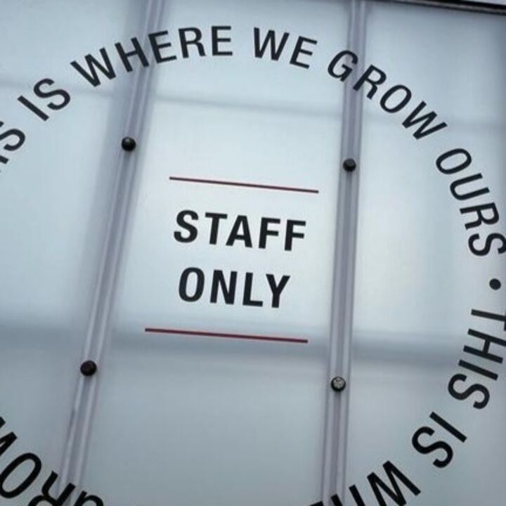 External Window Graphic Installation On Green House - Staff Area.jpg