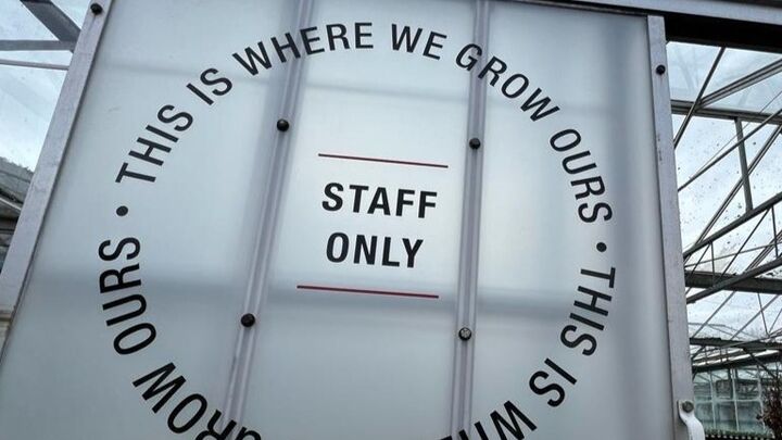 External Window Graphic Installation On Green House - Staff Area.jpg