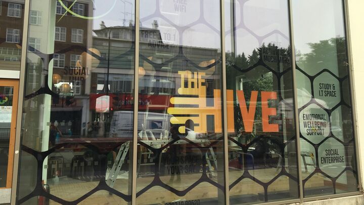 Custom Printed Window Graphics for The Hive.JPG
