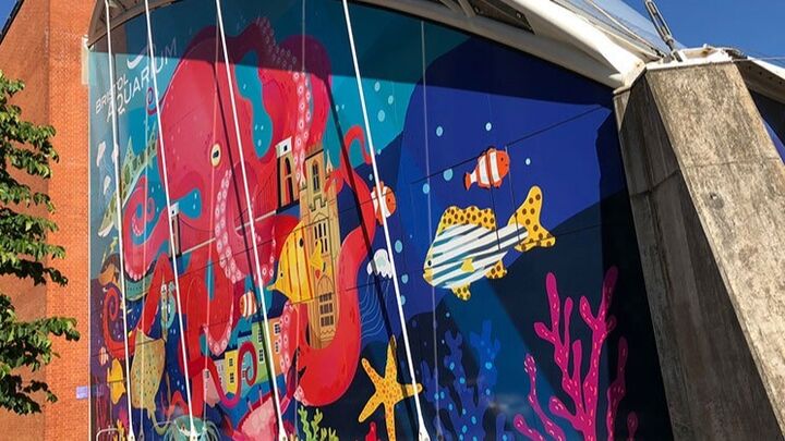 Large-Format Printed Window Graphics For Architectural Settings.jpg