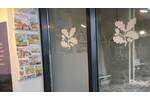 window-frosting for National Trust-by-creative-solutions.jpg