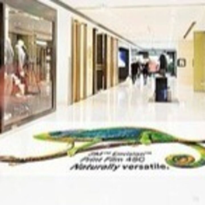 Eco Friendly Printed Floor Graphics.jpg