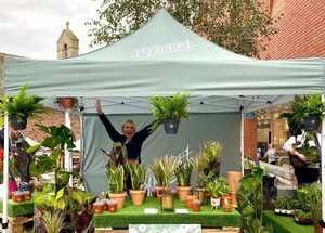 3x3 Branded Promotional Tent for The Botanist in Exeter