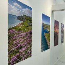 Wall Art Printing for Heavers of Bridport.jpg