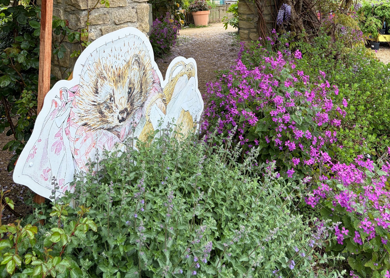 A garden entrance with wisteria, colorful flowers, and a Mrs Tiggy-Winkle illustration sign.