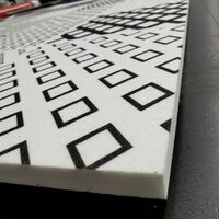 Printed Polycolour Black and White Tile Printing Profile.jpg
