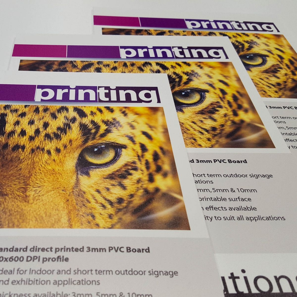 PVC Forex Printing 2