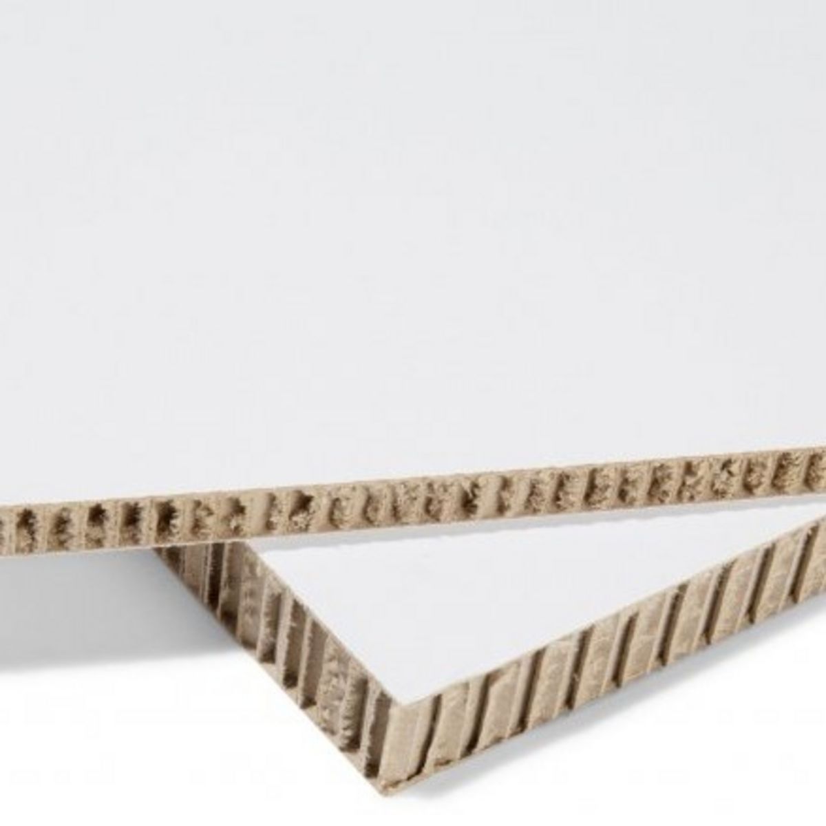 Xanita Print Honeycomb Display Board.jpg