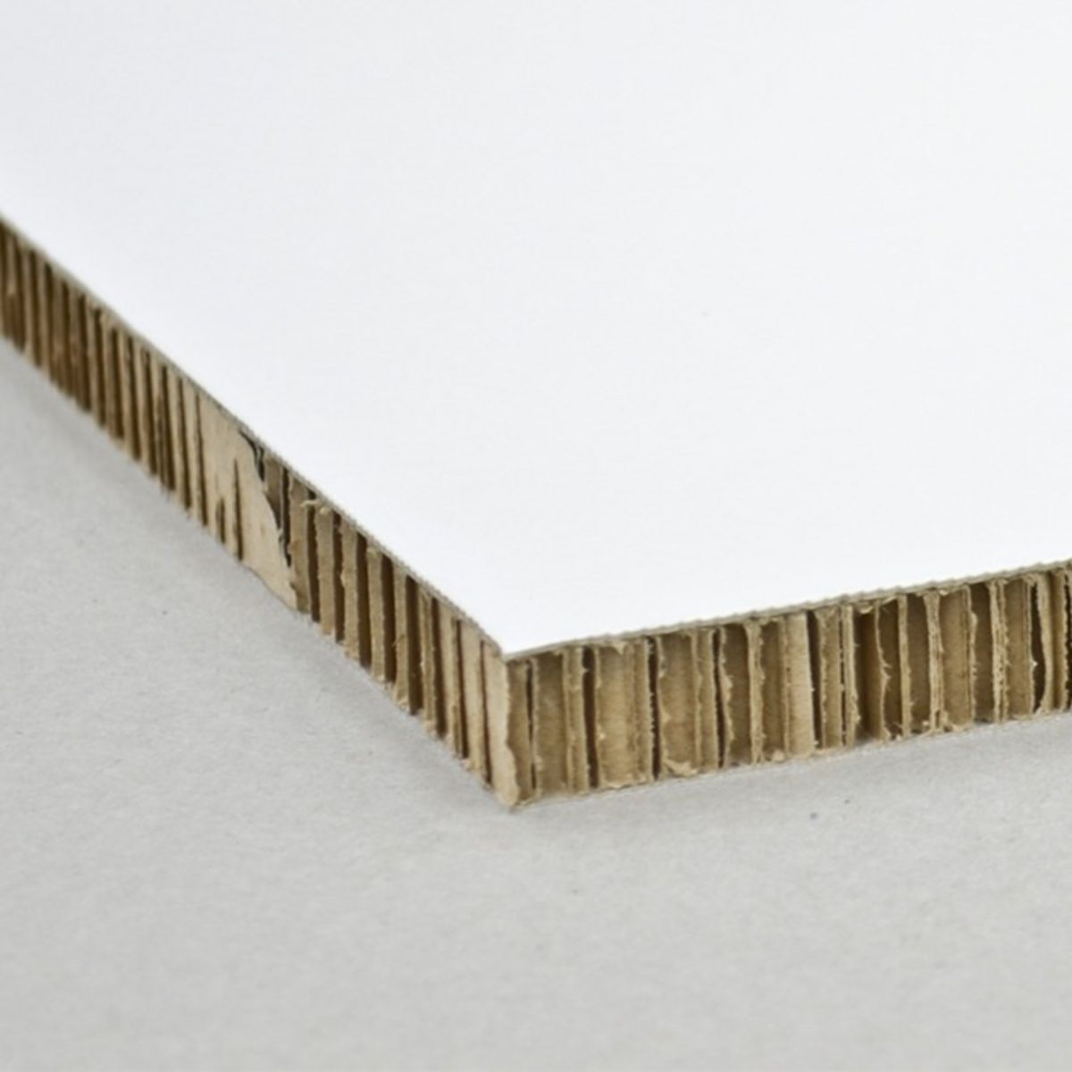 Xanita Print Honeycomb Display Board White Print Surface.jpg