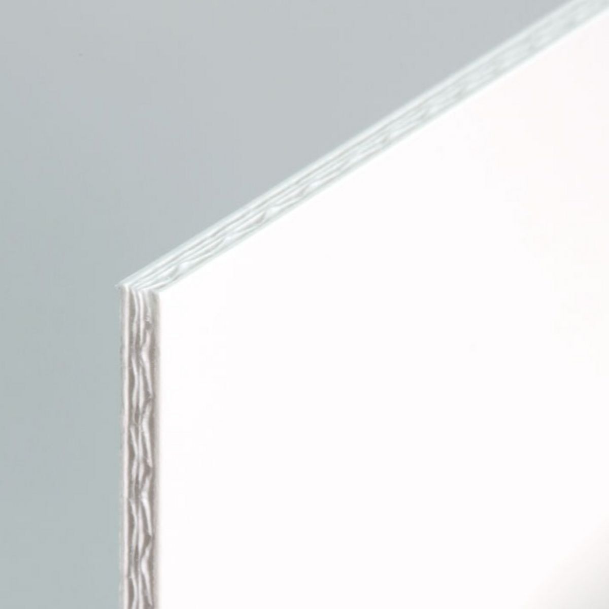 Printed Eco-Friendly DISPA® Paper Board