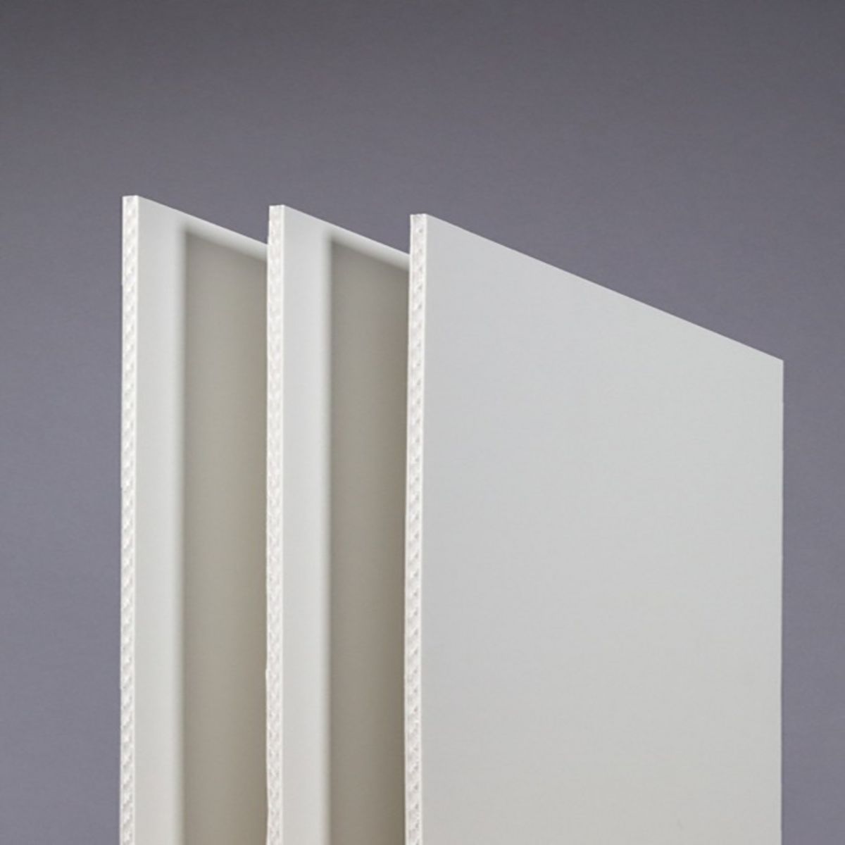 Printed Eco-Friendly DISPA® Paper Board