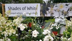 Eco-Friendly ACM Printed Header Board