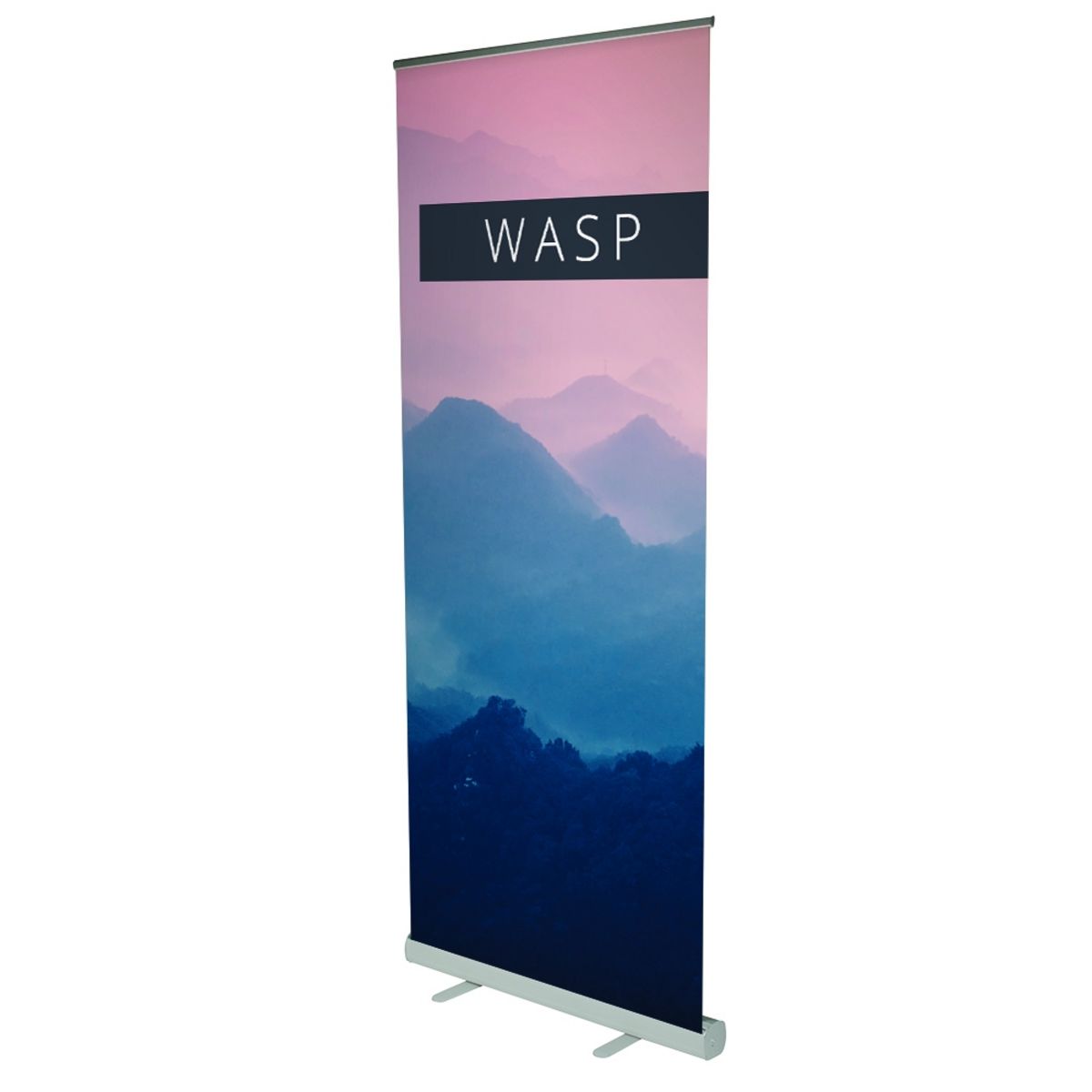 wasp-2-main-80014.jpg