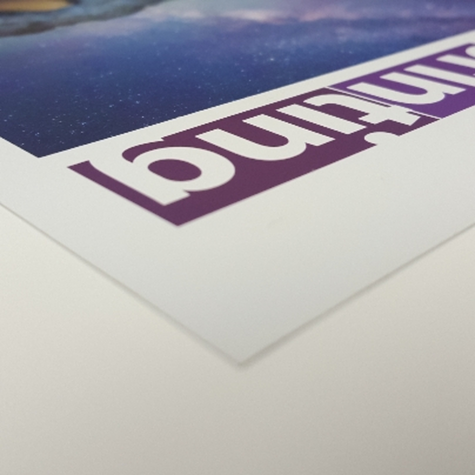 Polyester Roll Up Banner Film